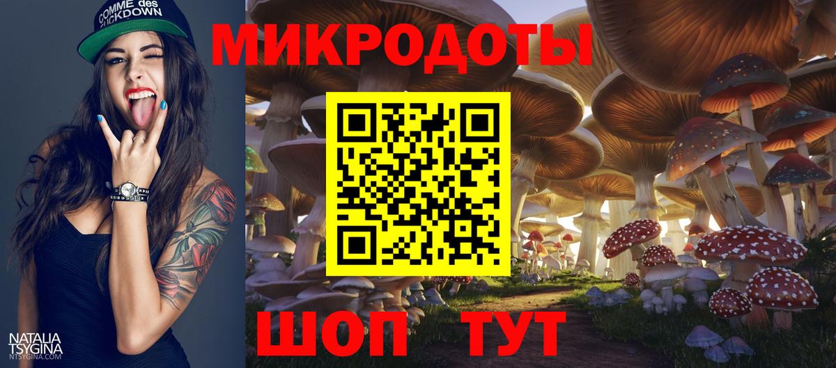 Псилоцибиновые грибы Cubensis Горно-Алтайск